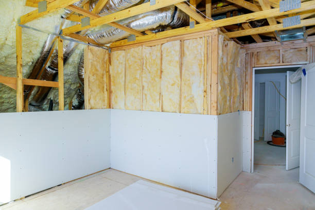 Best Insulation Maintenance and Repair in Tracy, MN