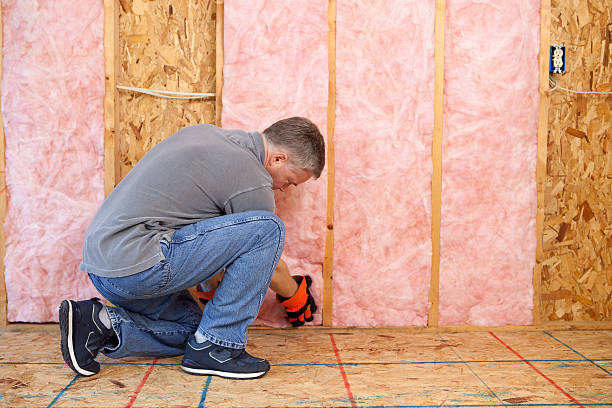 Best Geographic-Specific Insulation Services in Tracy, MN